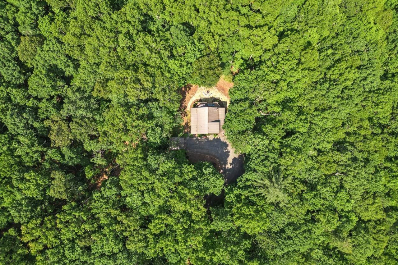 Bear Naked Bungalow Blue Ridge Dış mekan fotoğraf